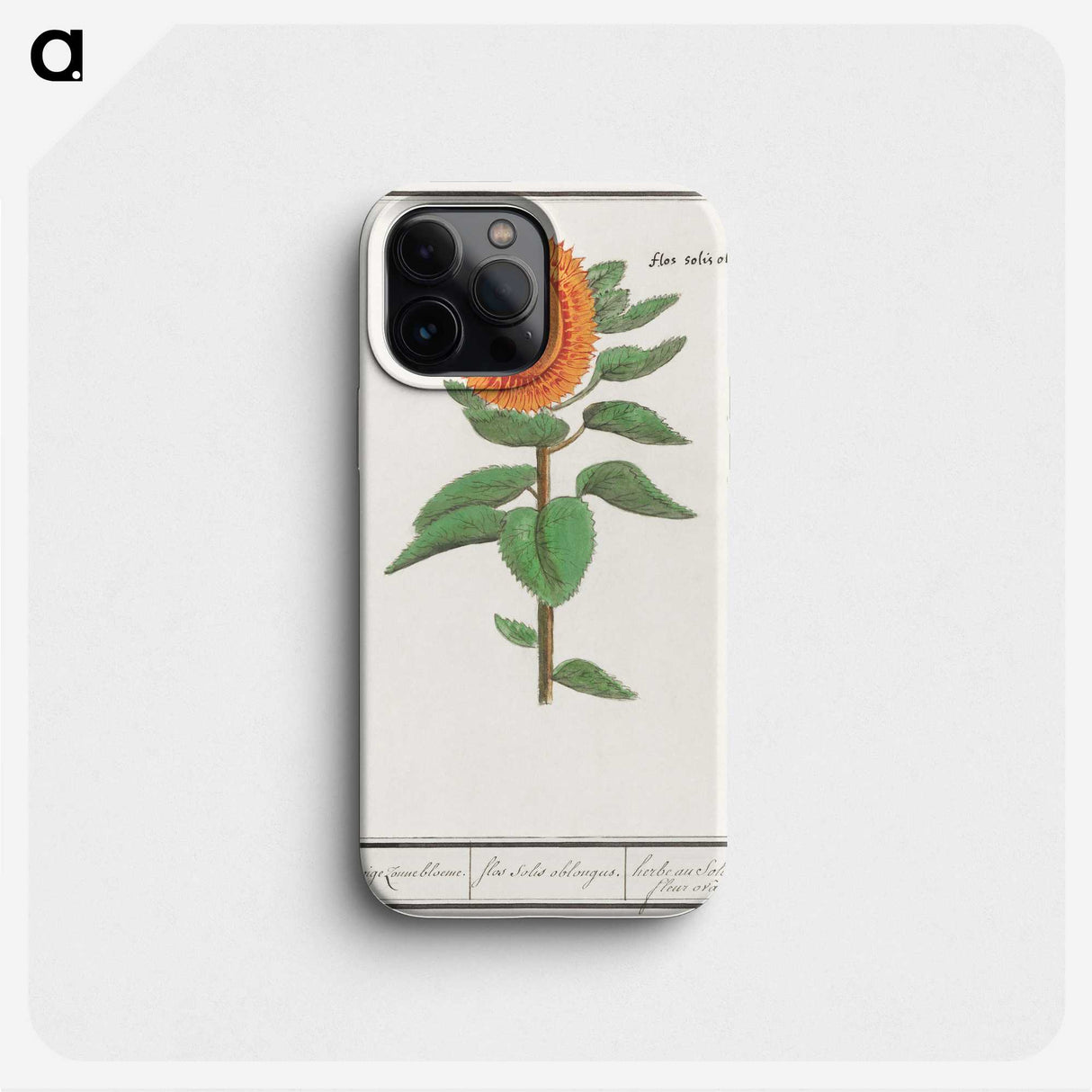 3-14_Anselmus-Boetius-de-Boodt_phone