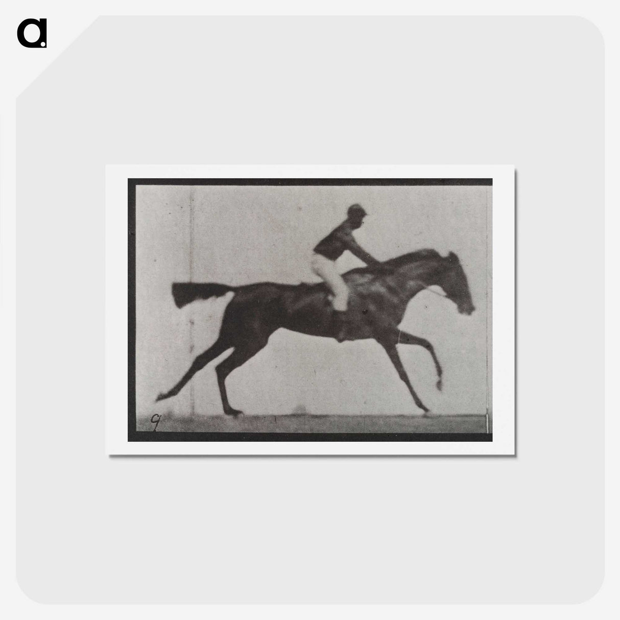 3-14_Eadweard-Muybridge_hagaki