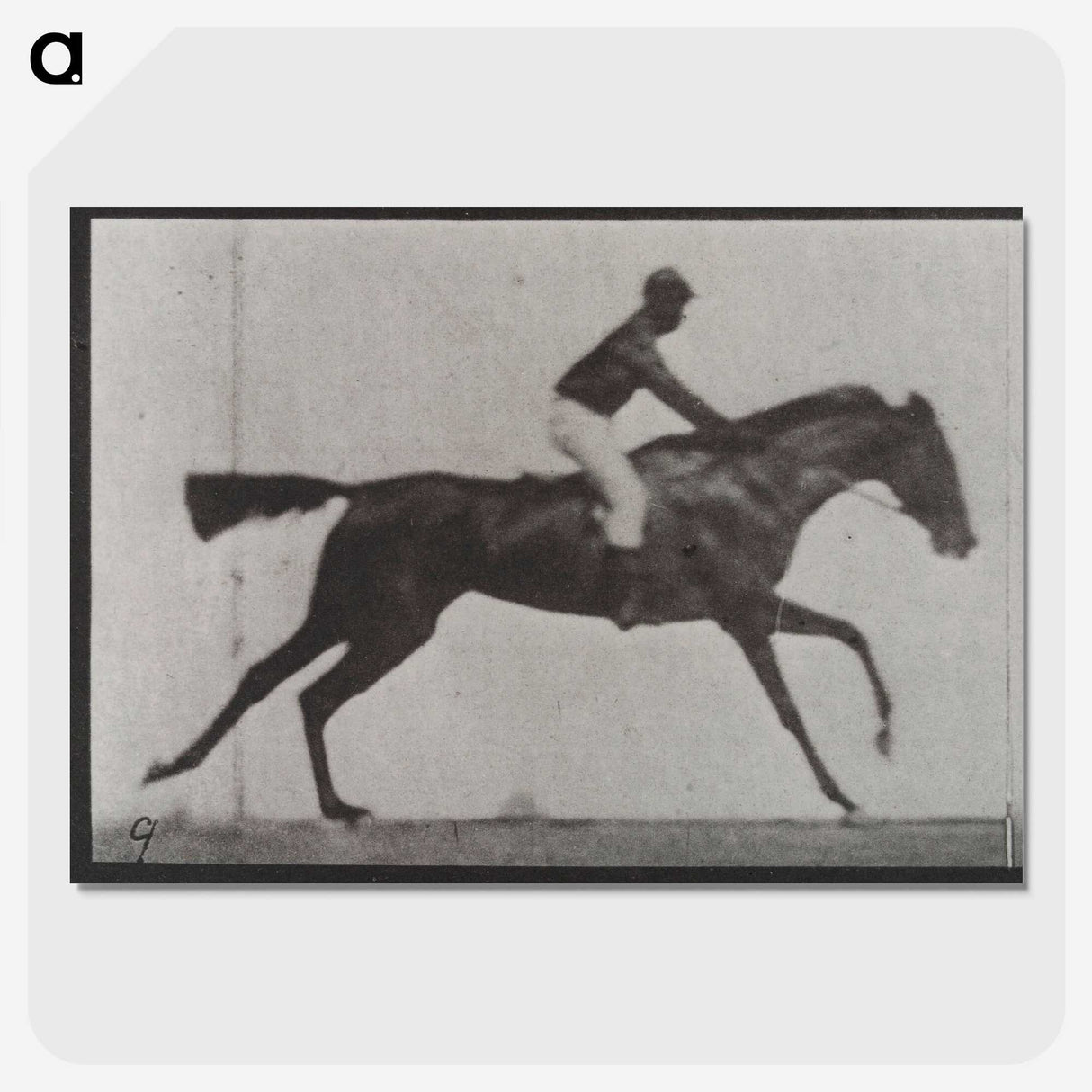 3-14_Eadweard-Muybridge_picture-crop
