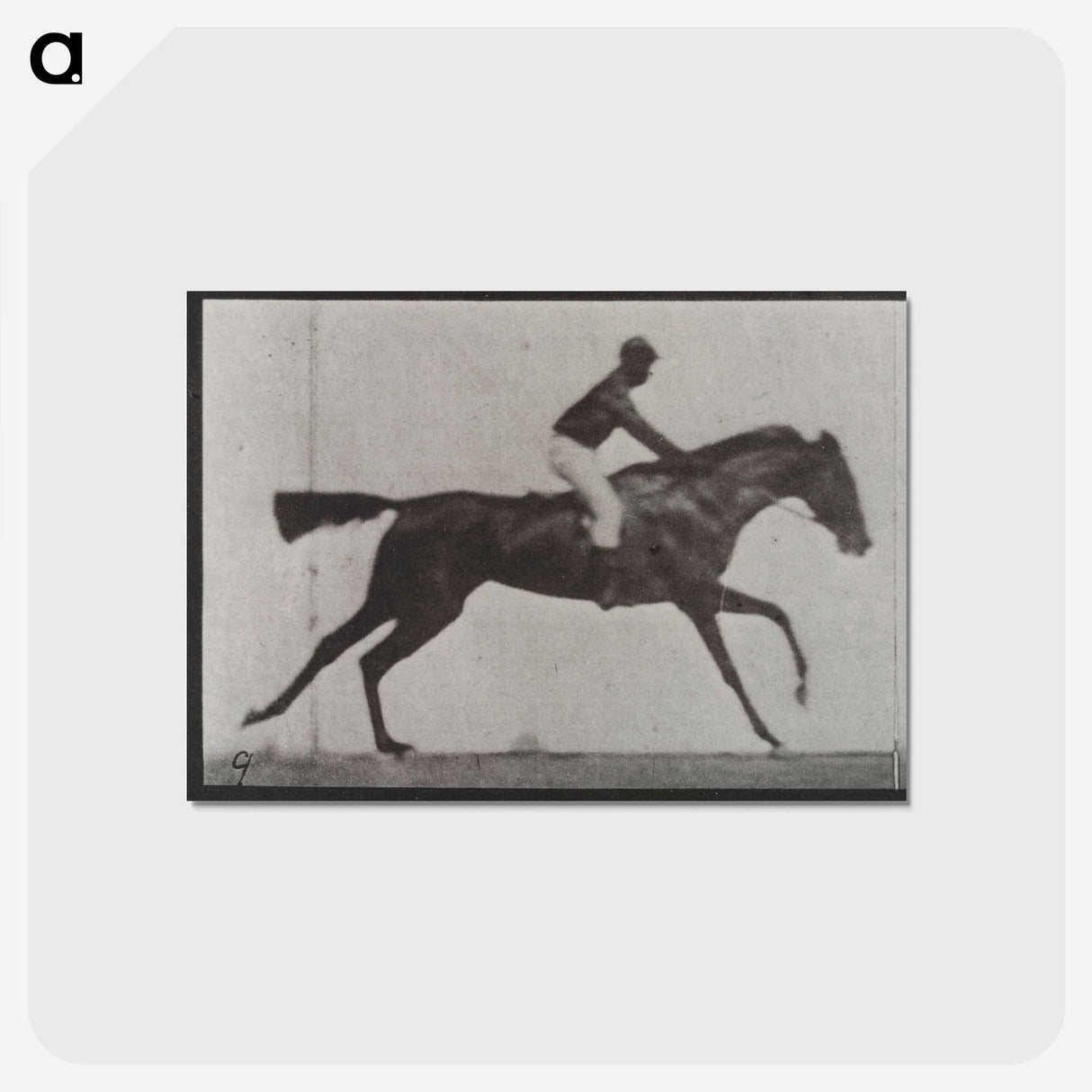 3-14_Eadweard-Muybridge_postcard