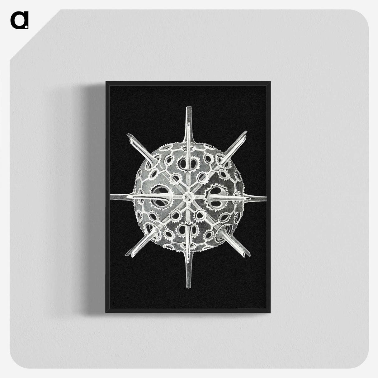 3-14_Ernst-Haeckel_blk-crop