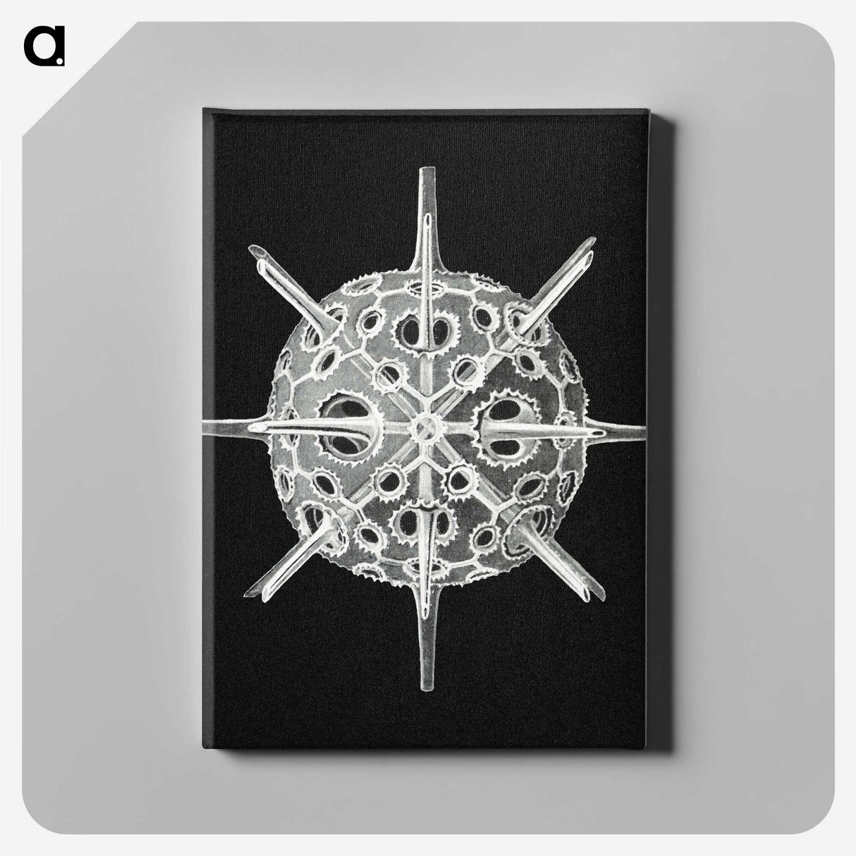 3-14_Ernst-Haeckel_canvas