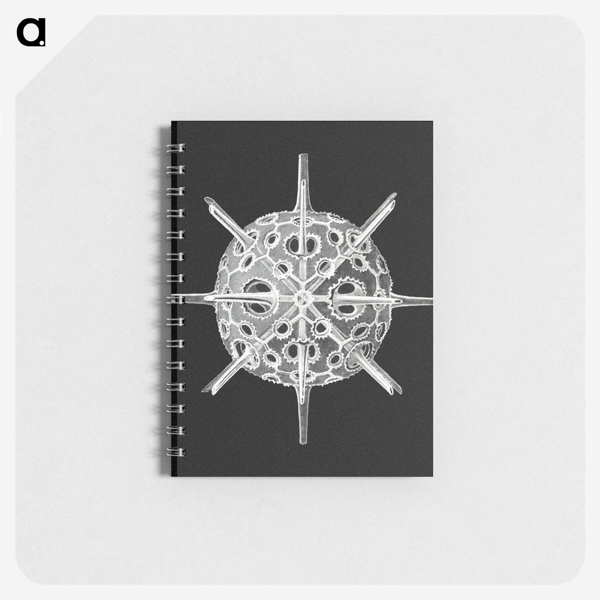 3-14_Ernst-Haeckel_memo