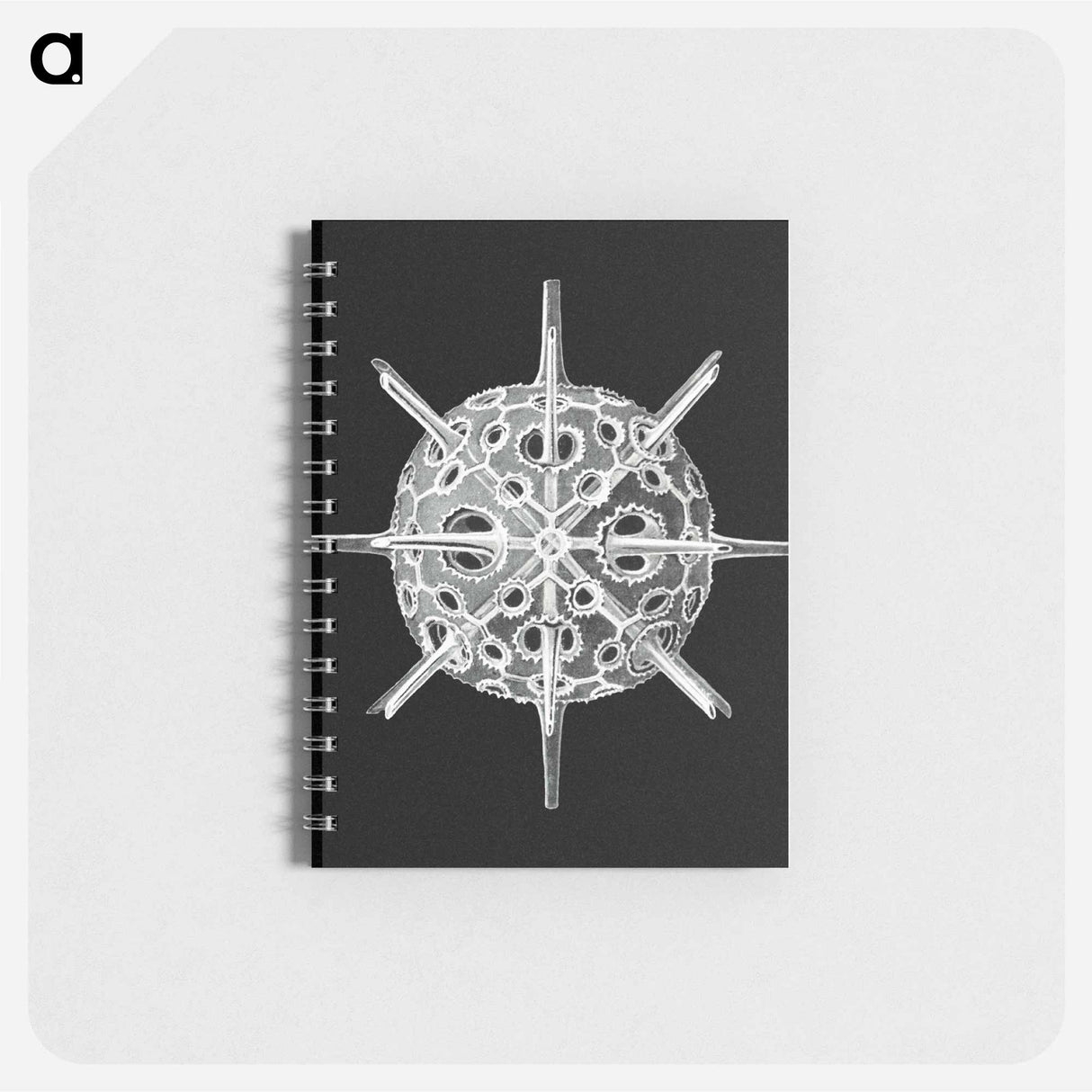 アートメモ帳-Vintage marine life illustration - エルンスト ヘッケル Memo.