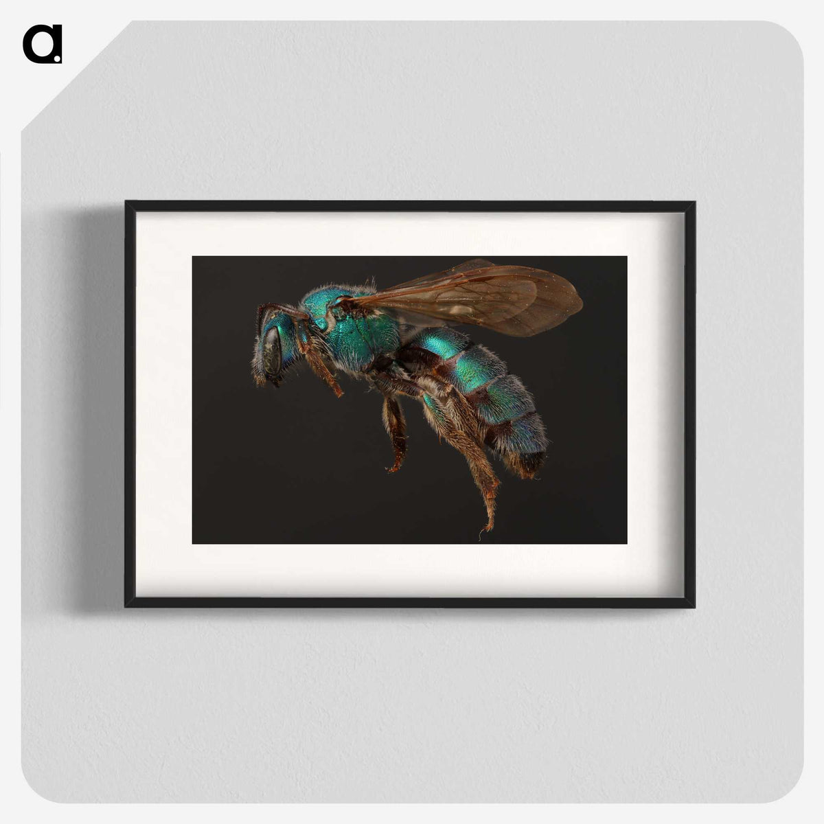 3-14_Insects-Unlocked-Project_blk