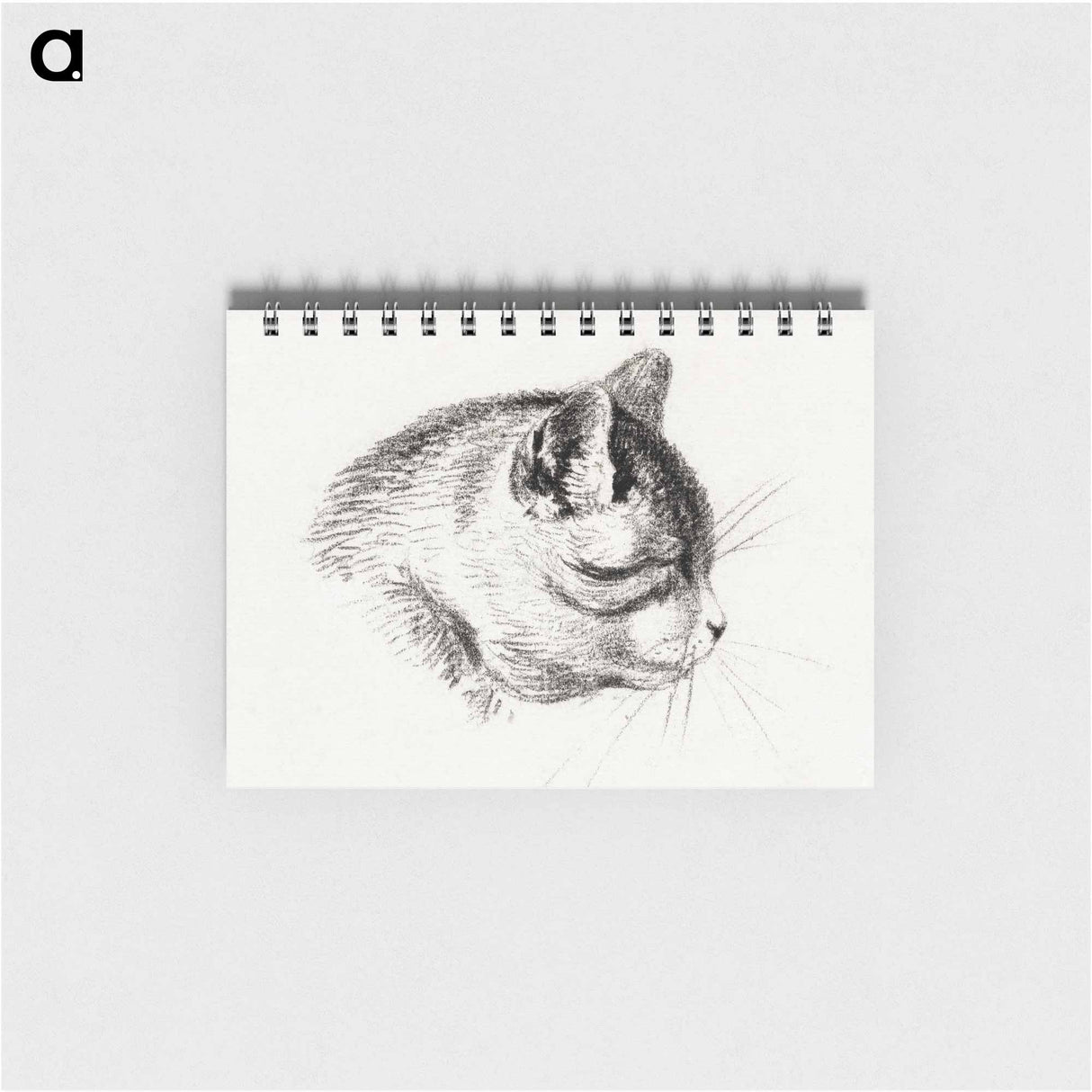 Sketch of a cat - ジャン ベルナール Memo.