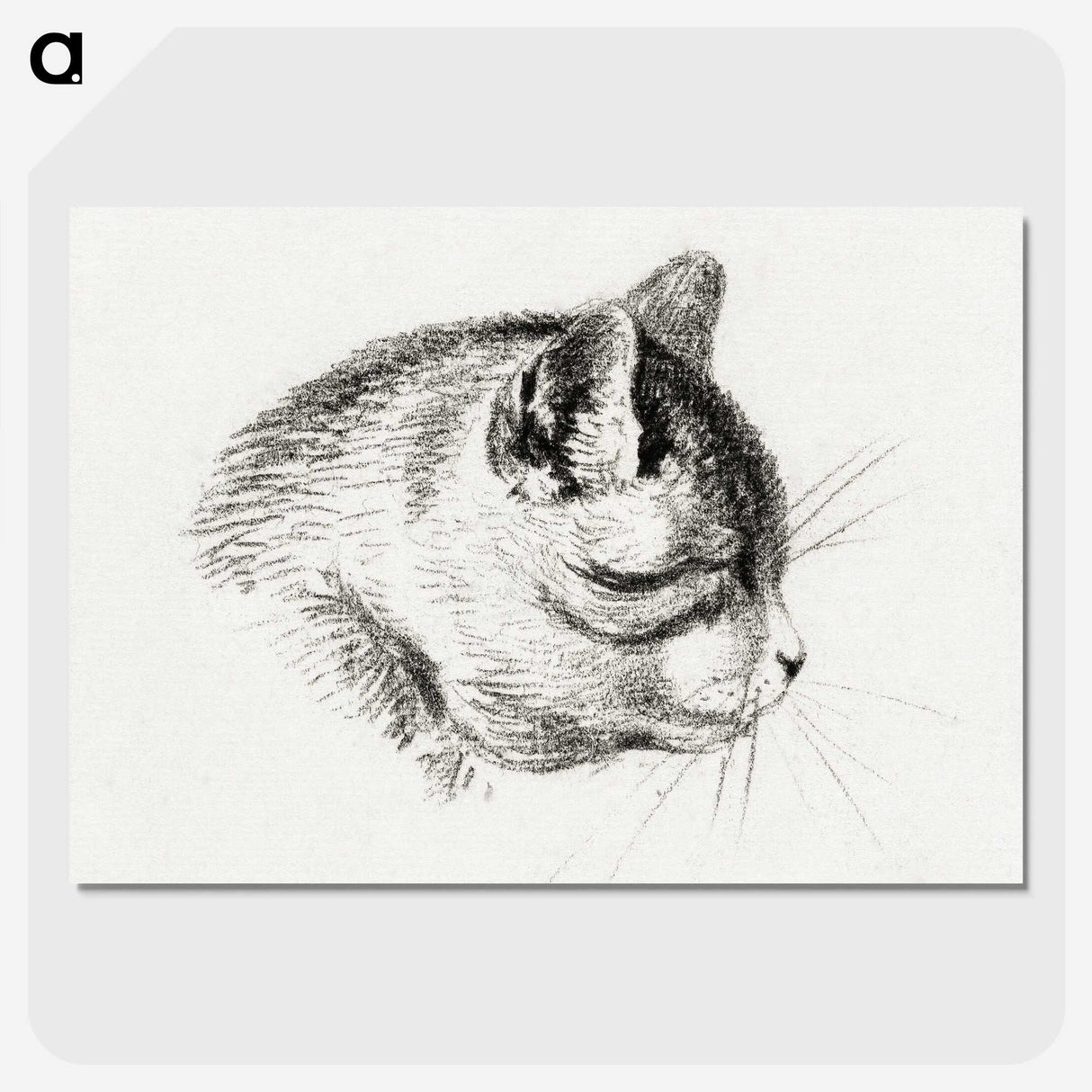 3-14_Jean-Bernard_picture-crop