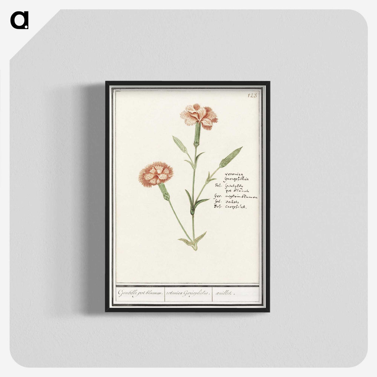 3-15_Anselmus-Boetius-de-Boodt_blk-crop