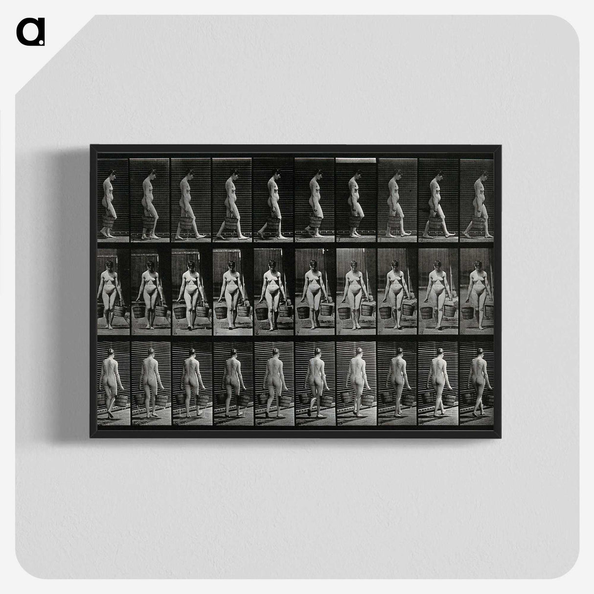 3-15_Eadweard-Muybridge_blk-crop