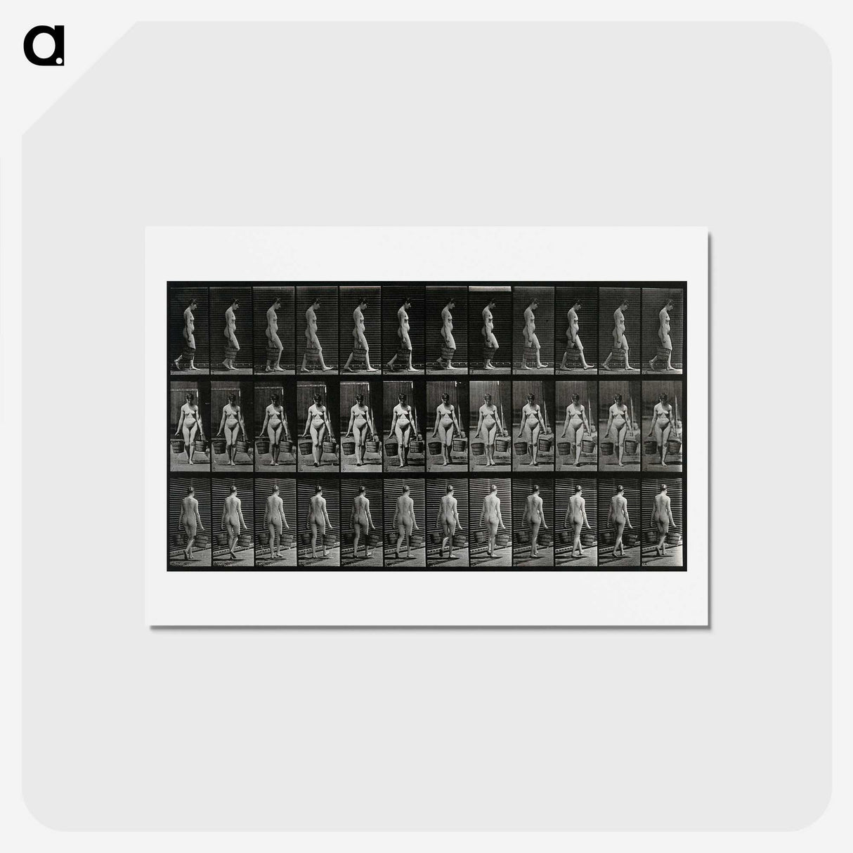 3-15_Eadweard-Muybridge_hagaki