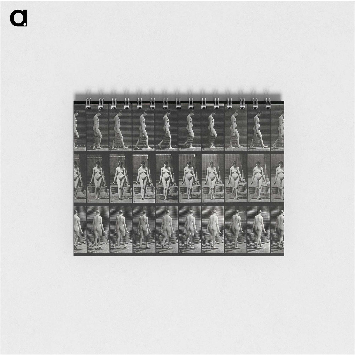 3-15_Eadweard-Muybridge_memo