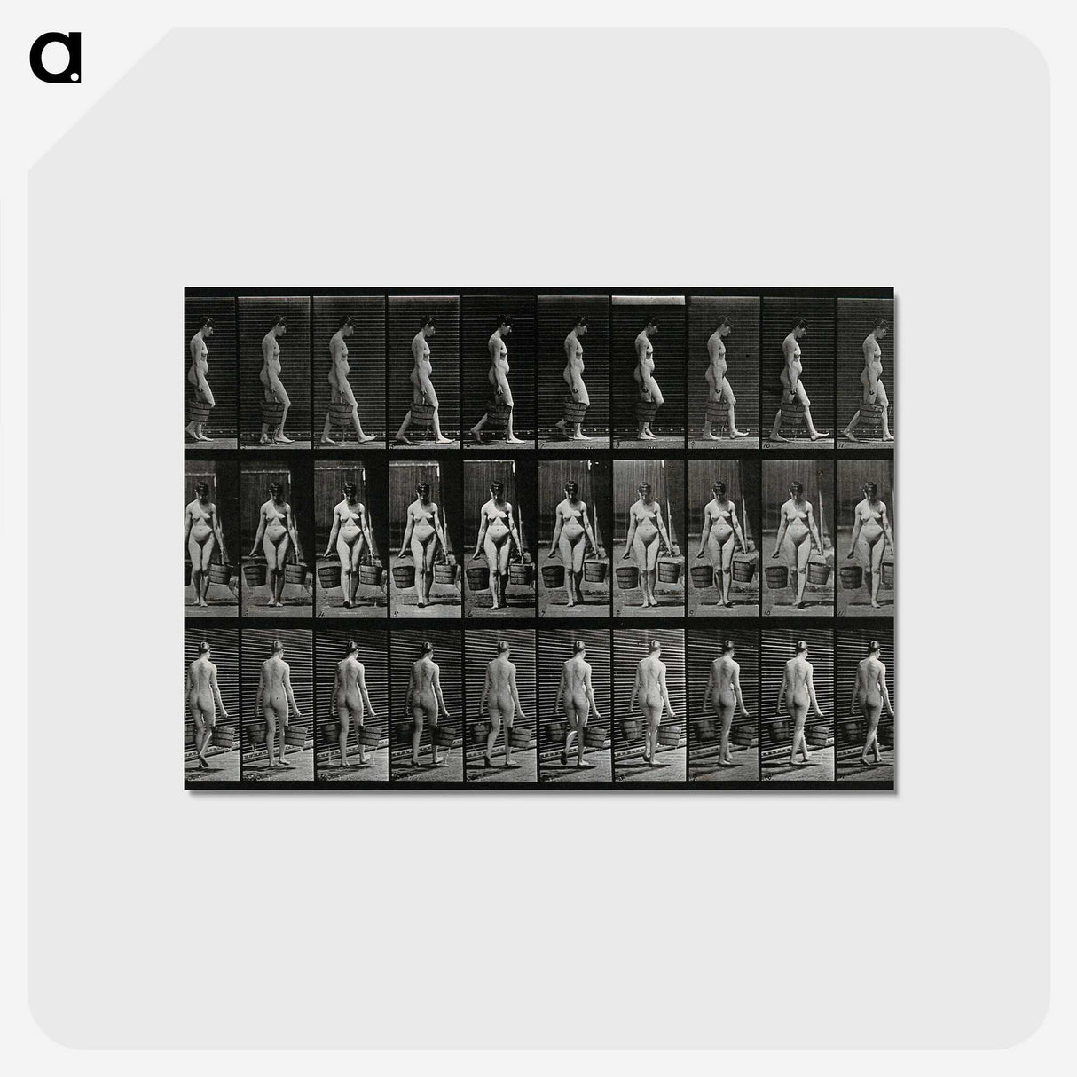3-15_Eadweard-Muybridge_postcard