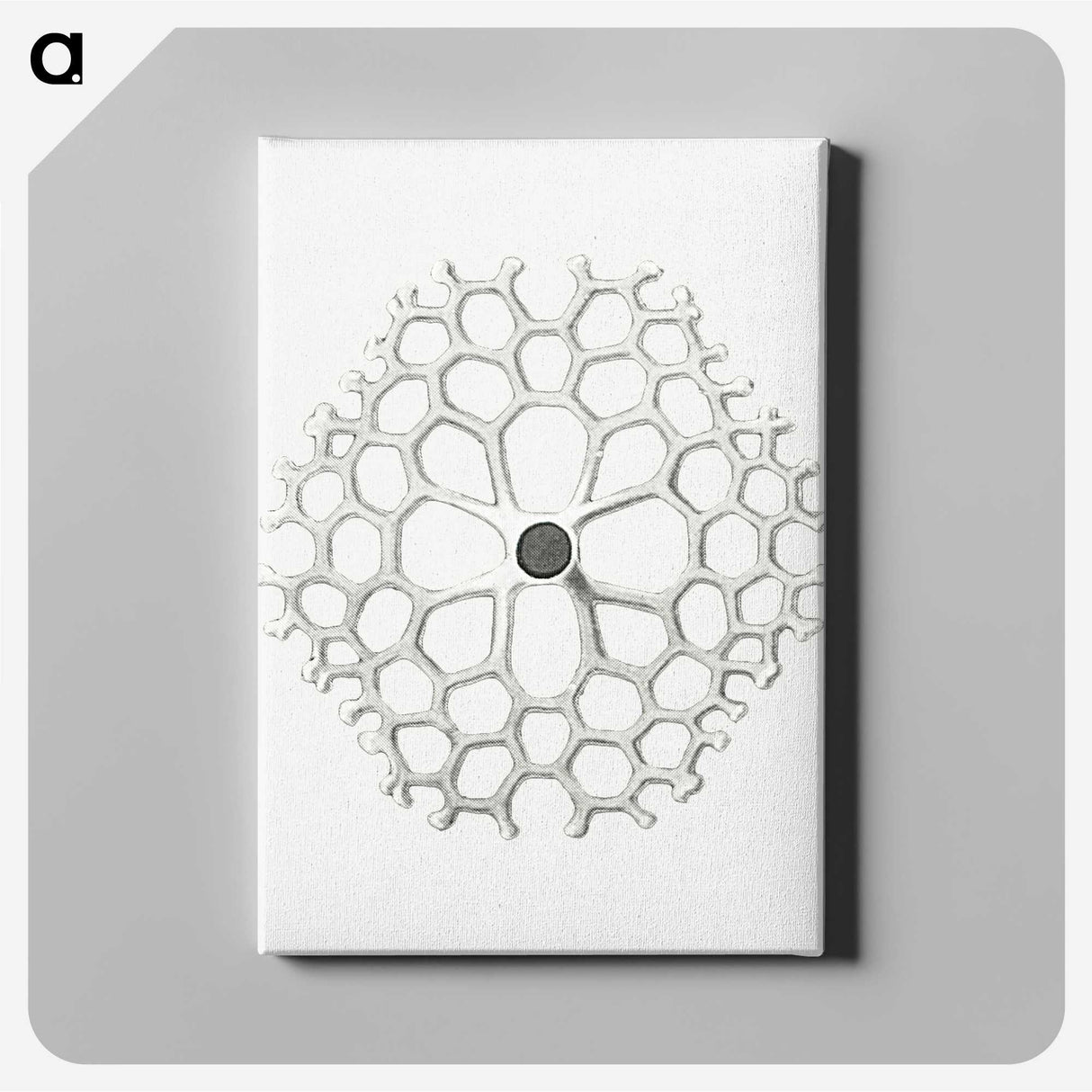 3-15_Ernst-Haeckel_canvas