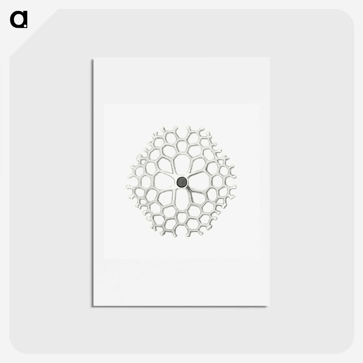 3-15_Ernst-Haeckel_hagaki