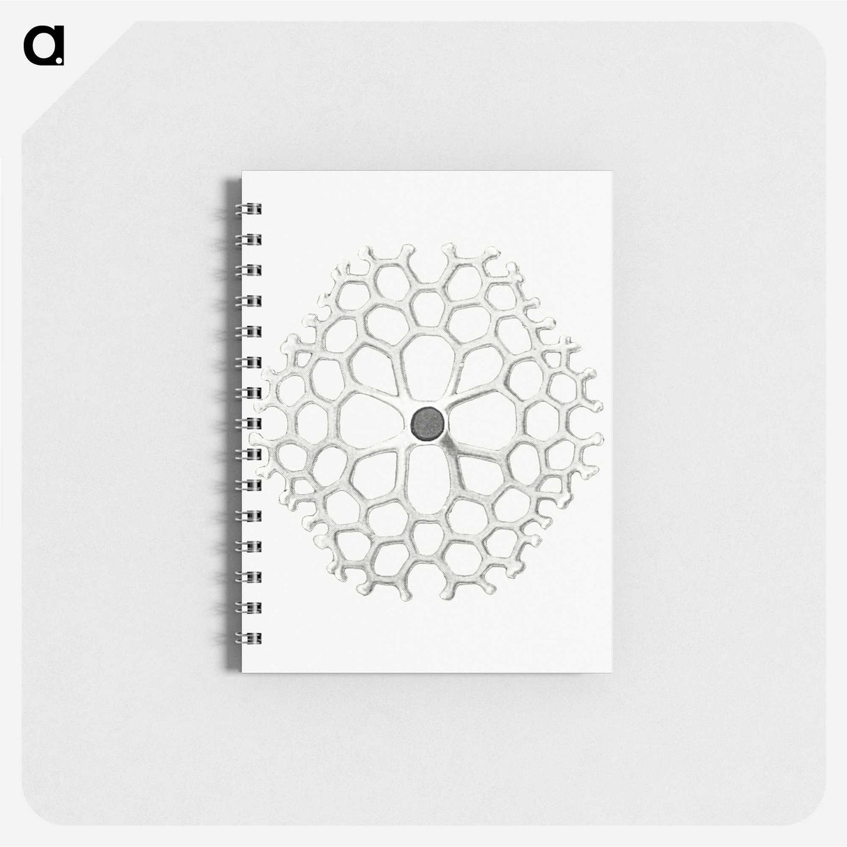 3-15_Ernst-Haeckel_memo