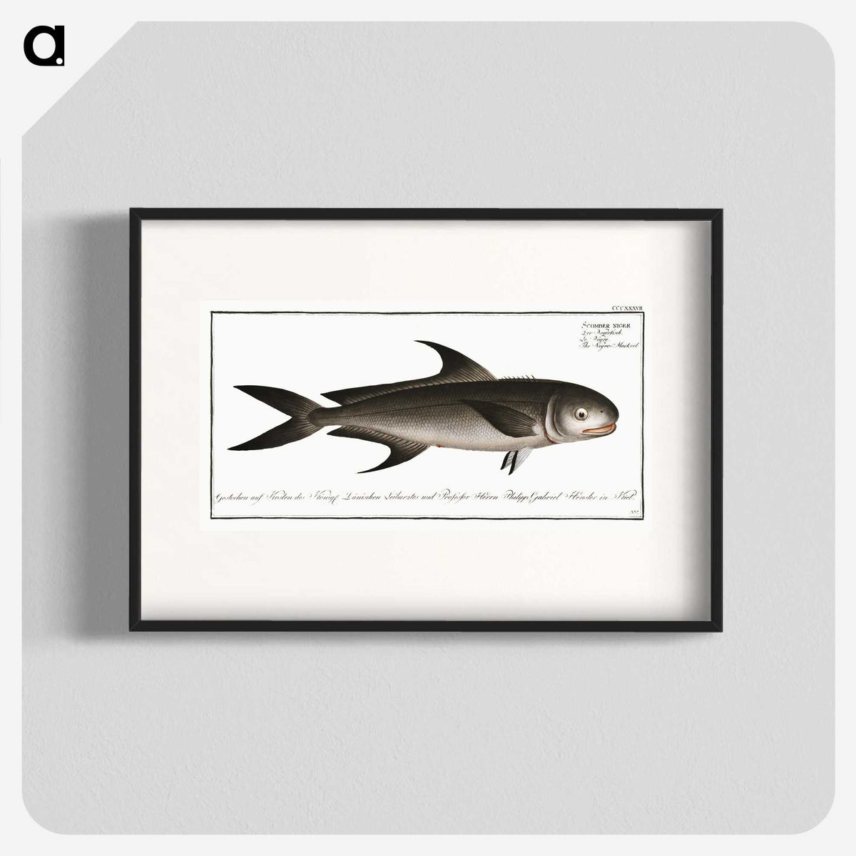 3-15_Ichtyologie-ou-Histoire-naturelle_blk