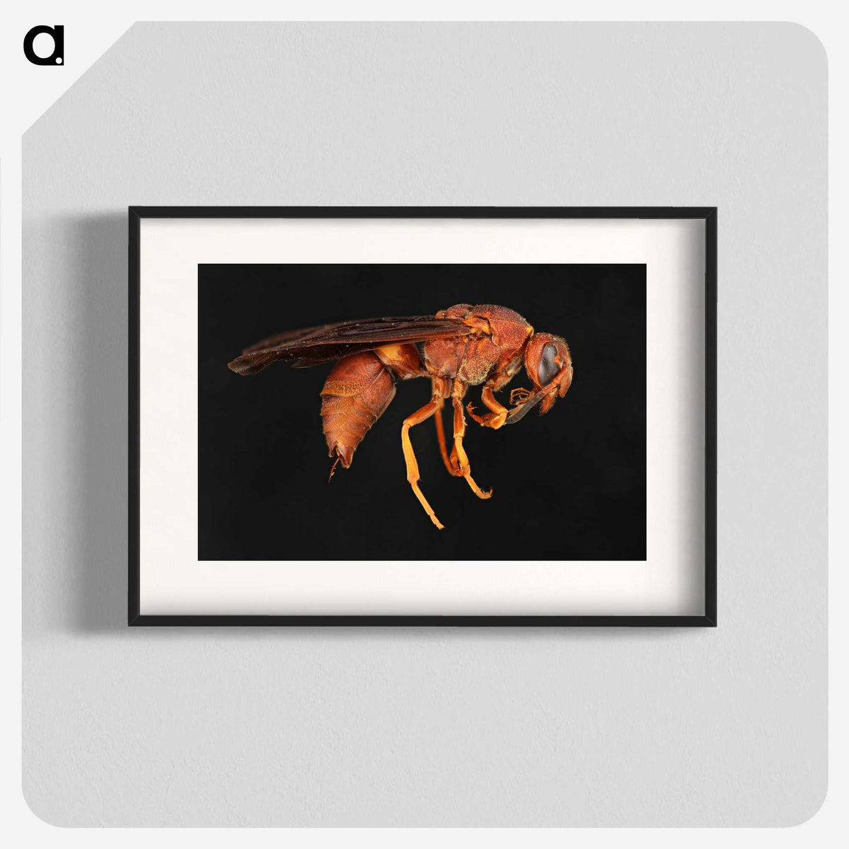 3-15_Insects-Unlocked-Project_blk