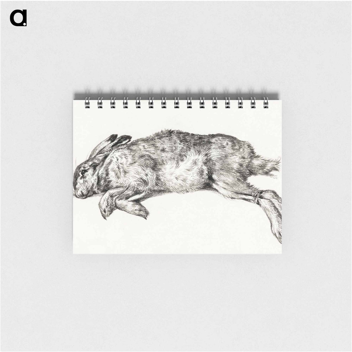 Dead hare - ジャン ベルナール Memo.