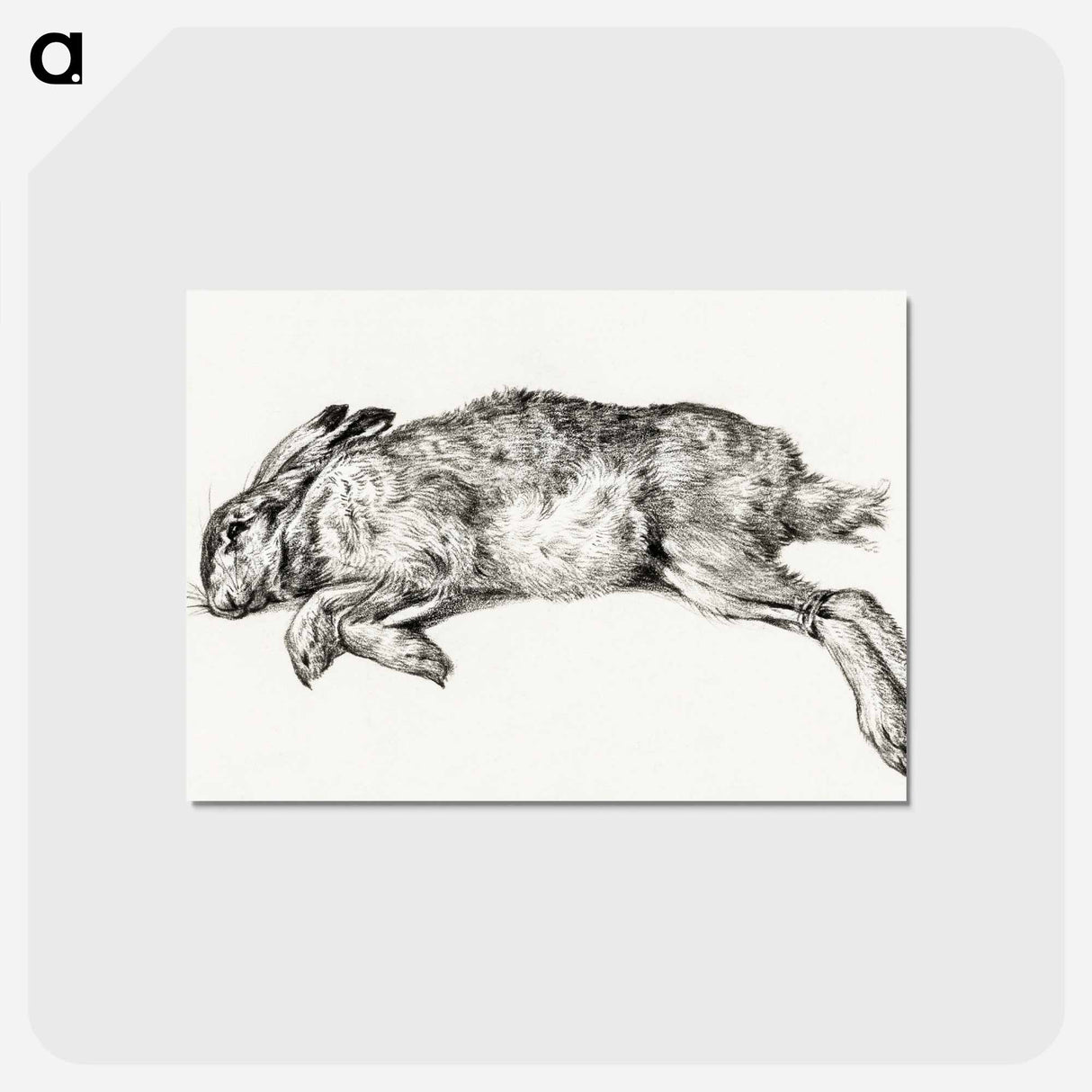 アートポストカード-Dead hare - ジャン ベルナール Postcard.