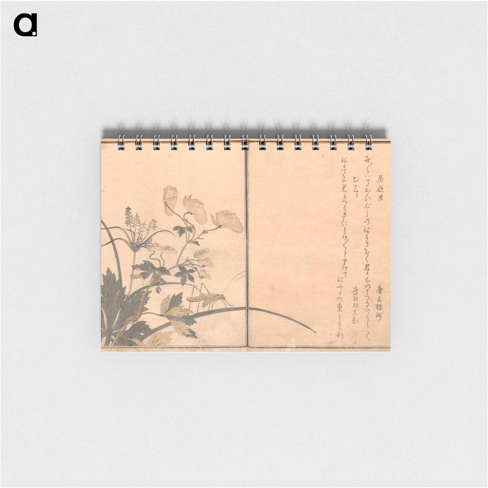 Picture Book of Crawling Creatures (The Insect Book) (Ehon mushi erami) - 喜多川 歌麿 Memo.