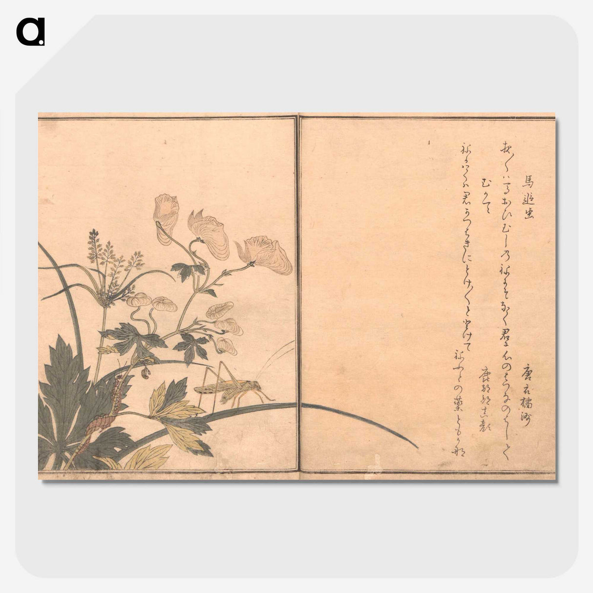 3-15_Kitagawa-Utamaro_picture-crop