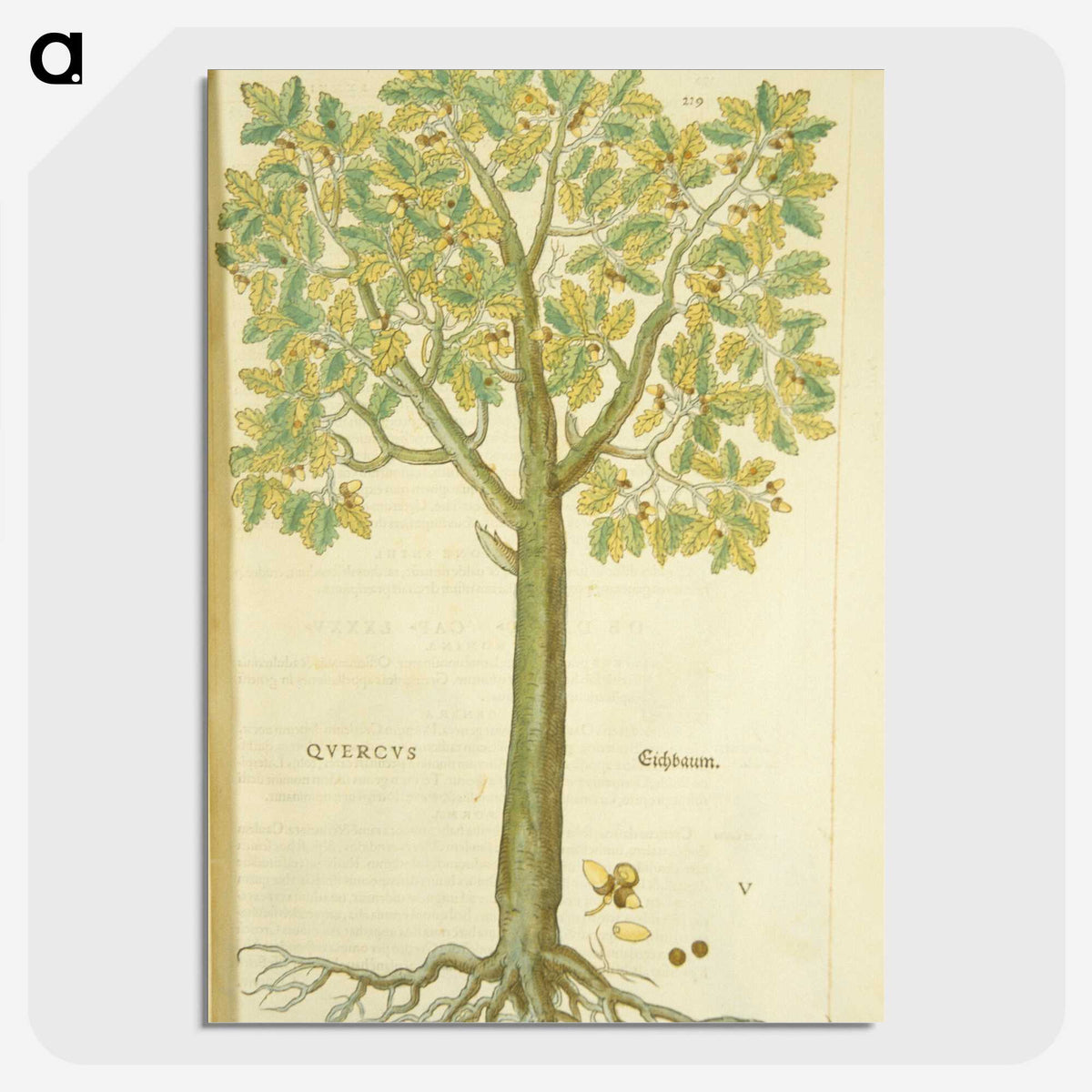3-15_National-Library-of-Medicine_picture-crop