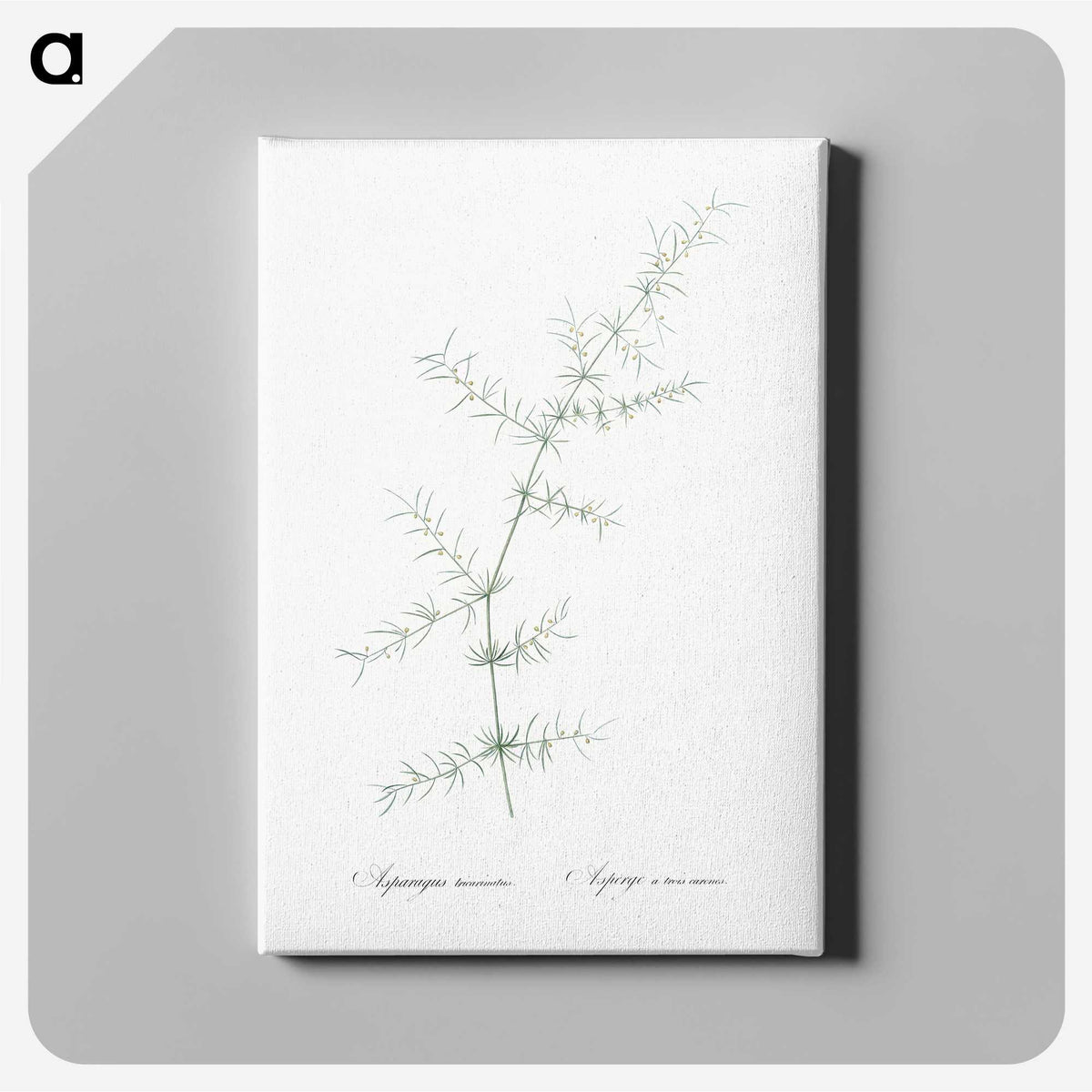3-15_The-Lilies_canvas