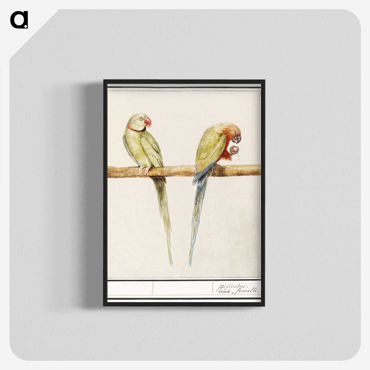 3-16_Anselmus-Boetius-de-Boodt_blk-crop