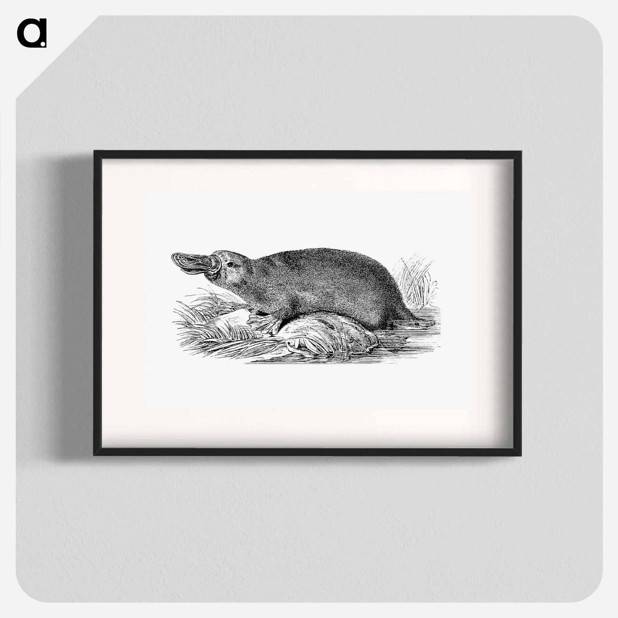 アートポスター-Duck-billed Platypus
- 大英図書館 Poster.