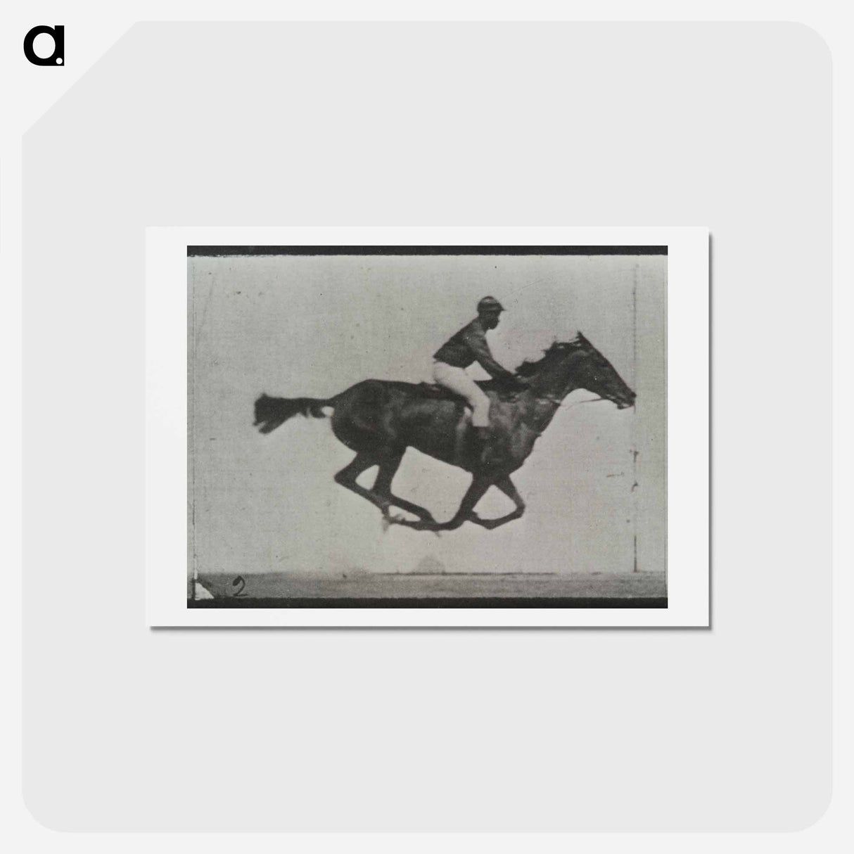 アートポストカード-Galloping Horse and Rider
- エドワード マイブリッジ Postcard.