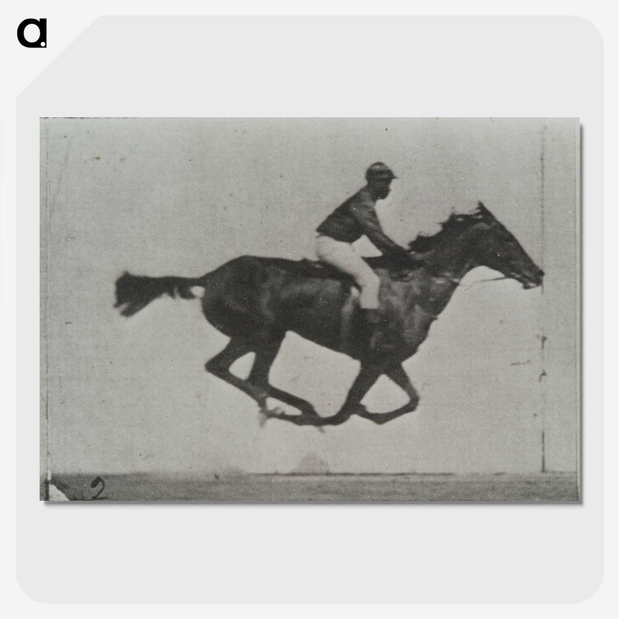 3-16_Eadweard-Muybridge_picture-crop