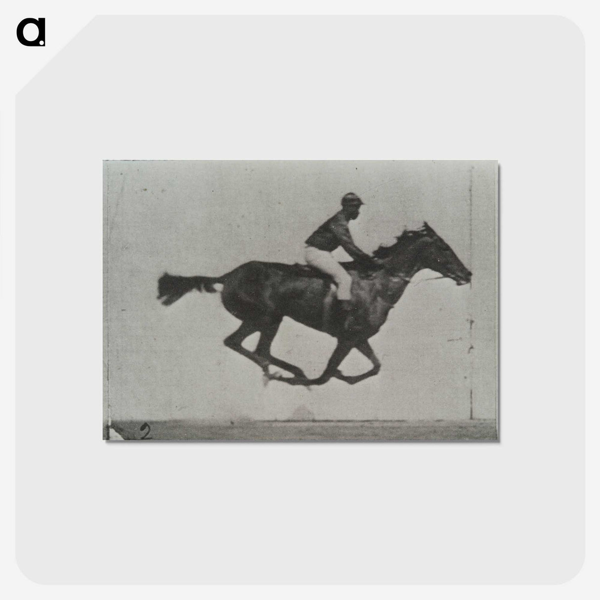 3-16_Eadweard-Muybridge_postcard