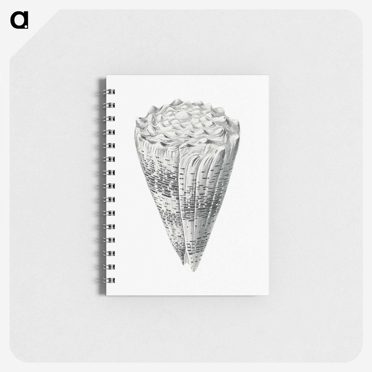 3-16_Ernst-Haeckel_memo