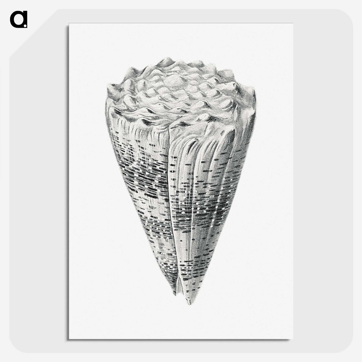 3-16_Ernst-Haeckel_picture-crop