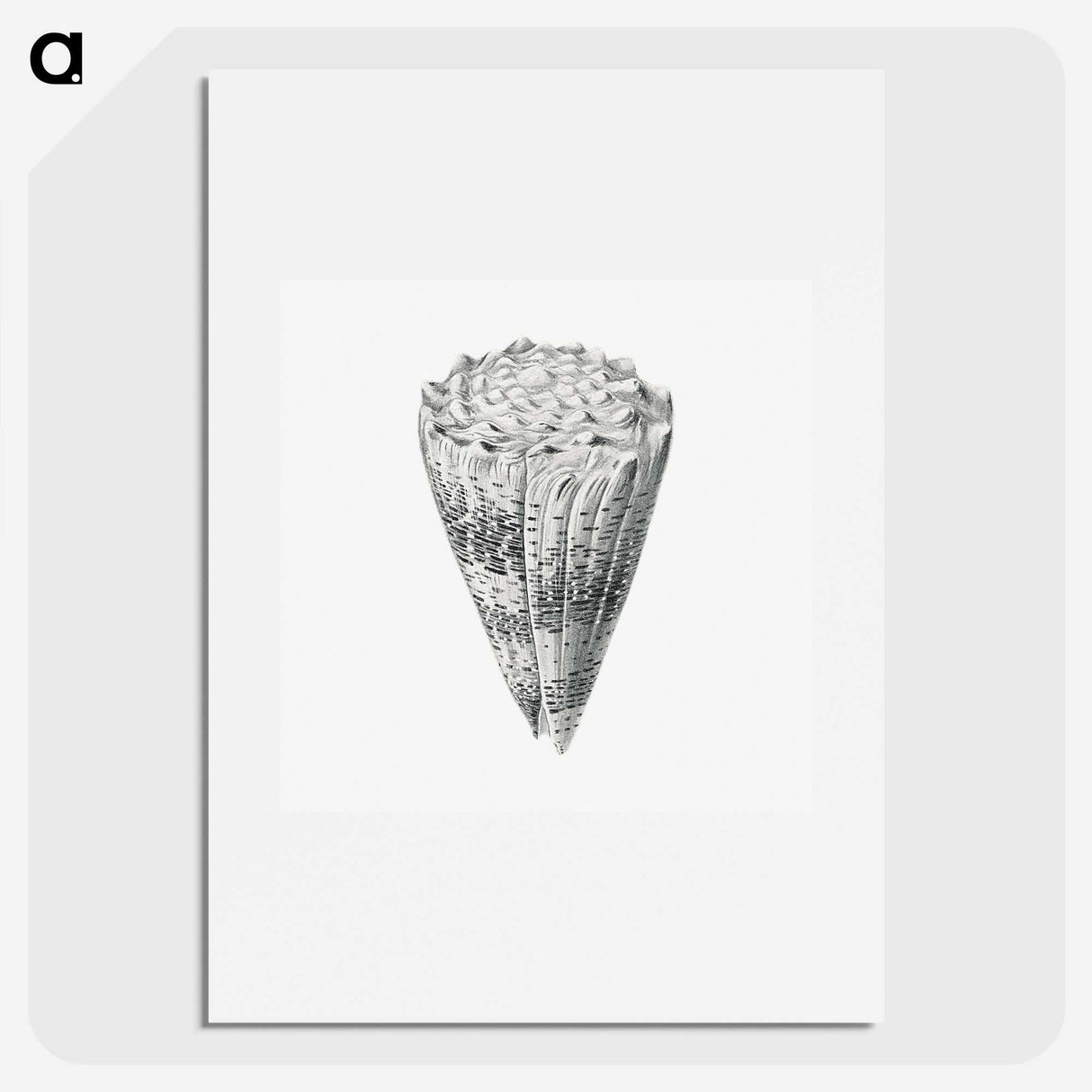 3-16_Ernst-Haeckel_picture