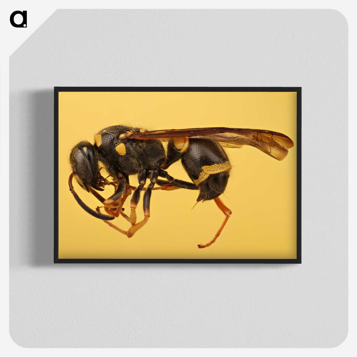 3-16_Insects-Unlocked-Project_blk-crop