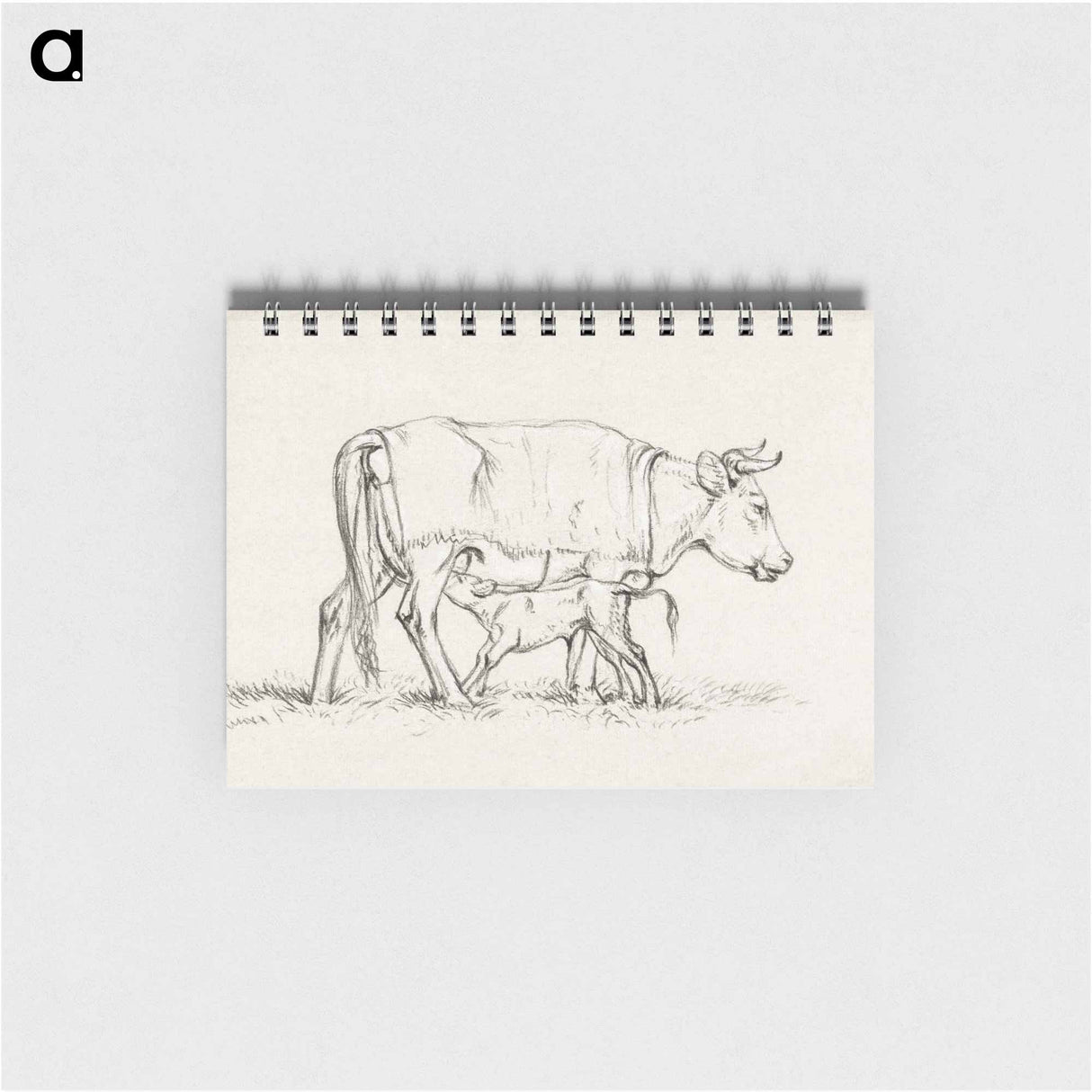 Calf drinking with his mother - ジャン ベルナール Memo.