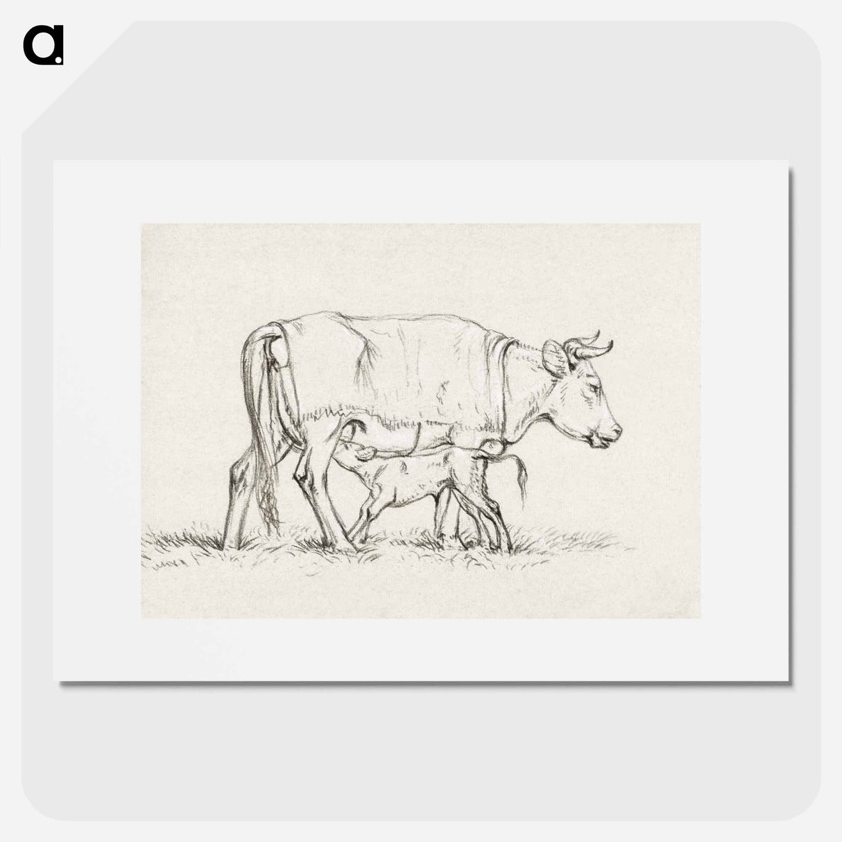 Calf drinking with his mother - Jean Bernard Poster.