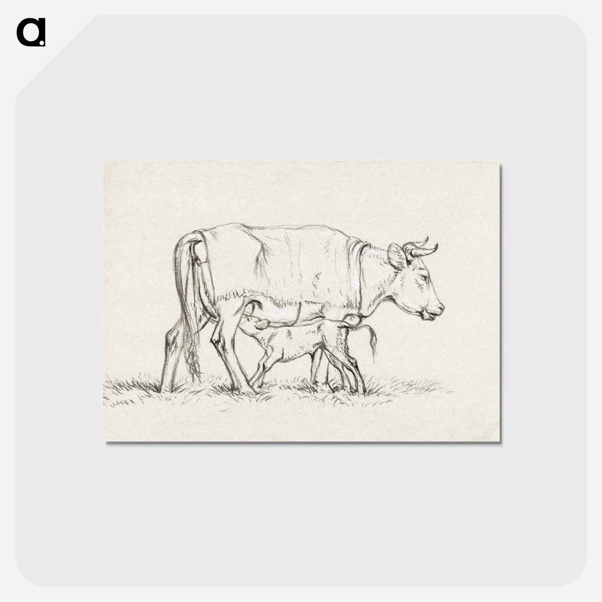アートポストカード-Calf drinking with his mother - ジャン ベルナール Postcard.
