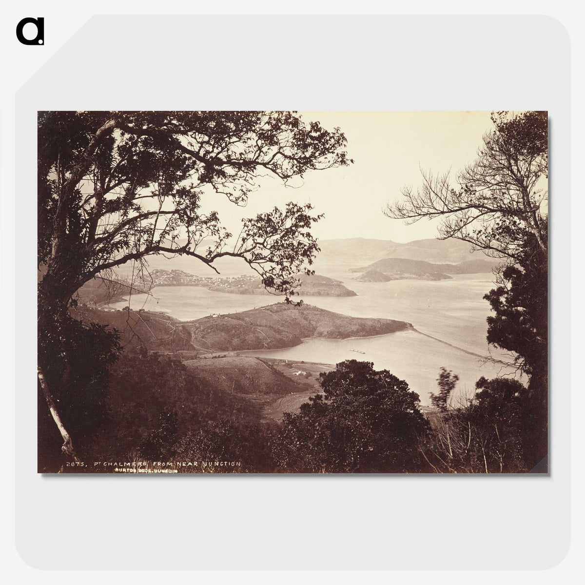 3-16_The-Burton-Brothers_picture-crop