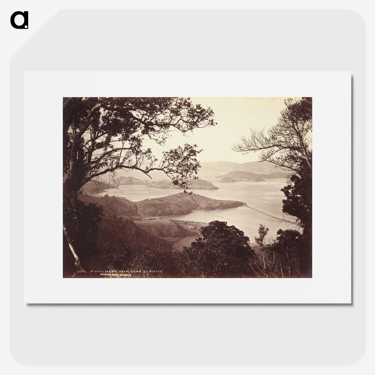 3-16_The-Burton-Brothers_picture