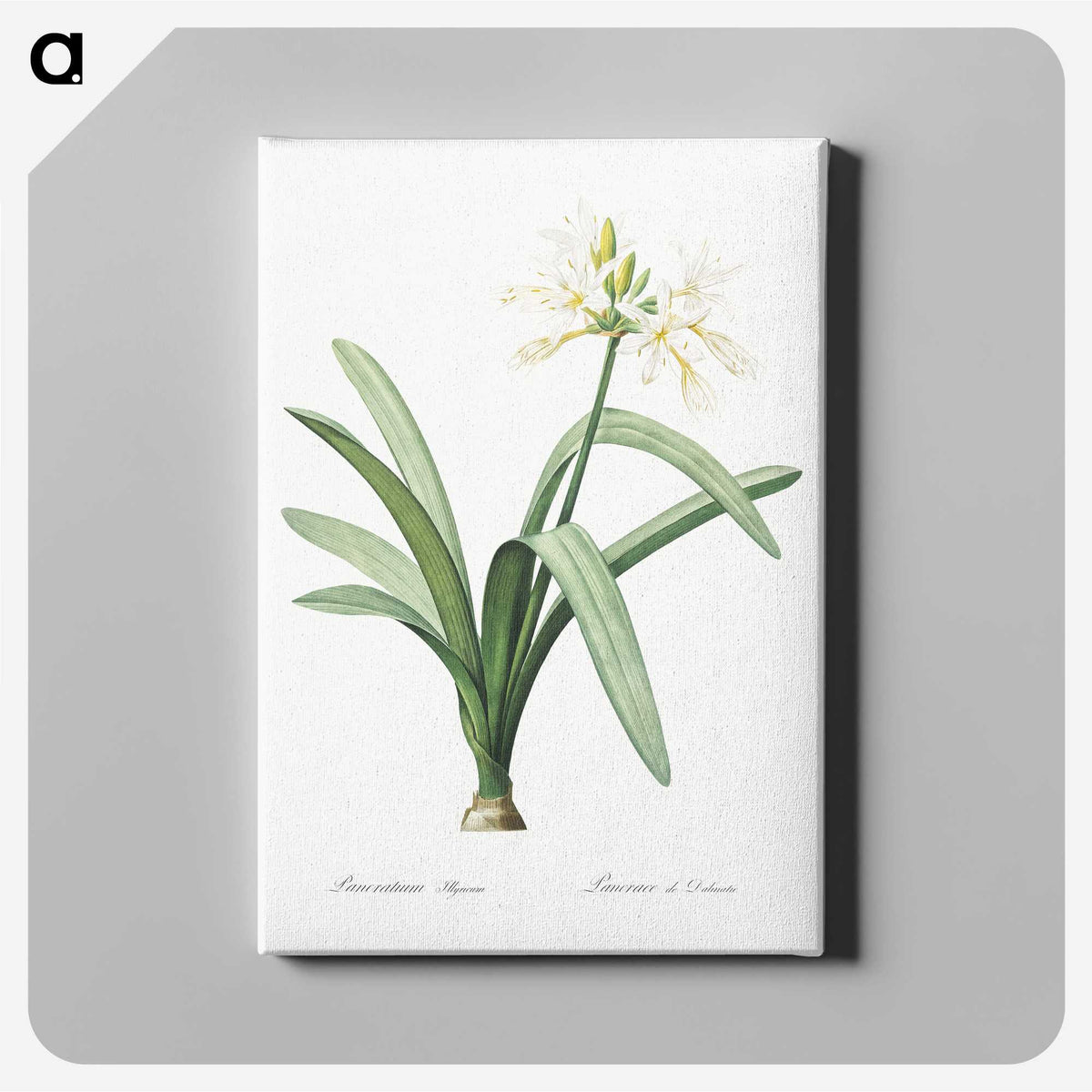 3-16_The-Lilies_canvas