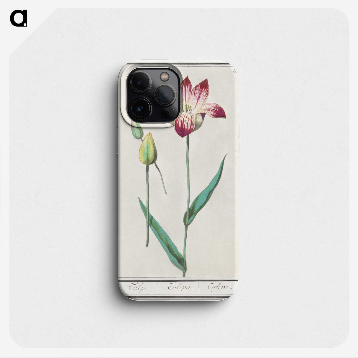 3-17_Anselmus-Boetius-de-Boodt_phone
