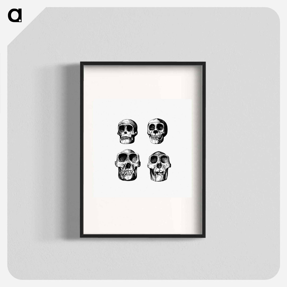 アートポスター-Skull from Voyages and Adventures in Equatorial Africa
- 大英図書館 Poster.