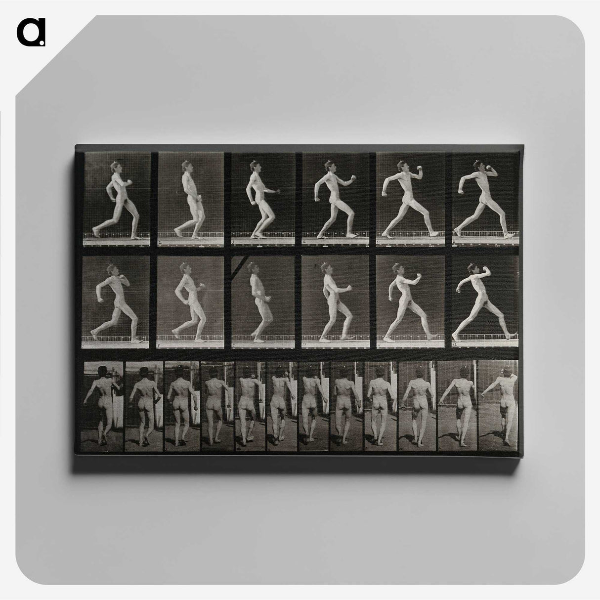 3-17_Eadweard-Muybridge_canvas