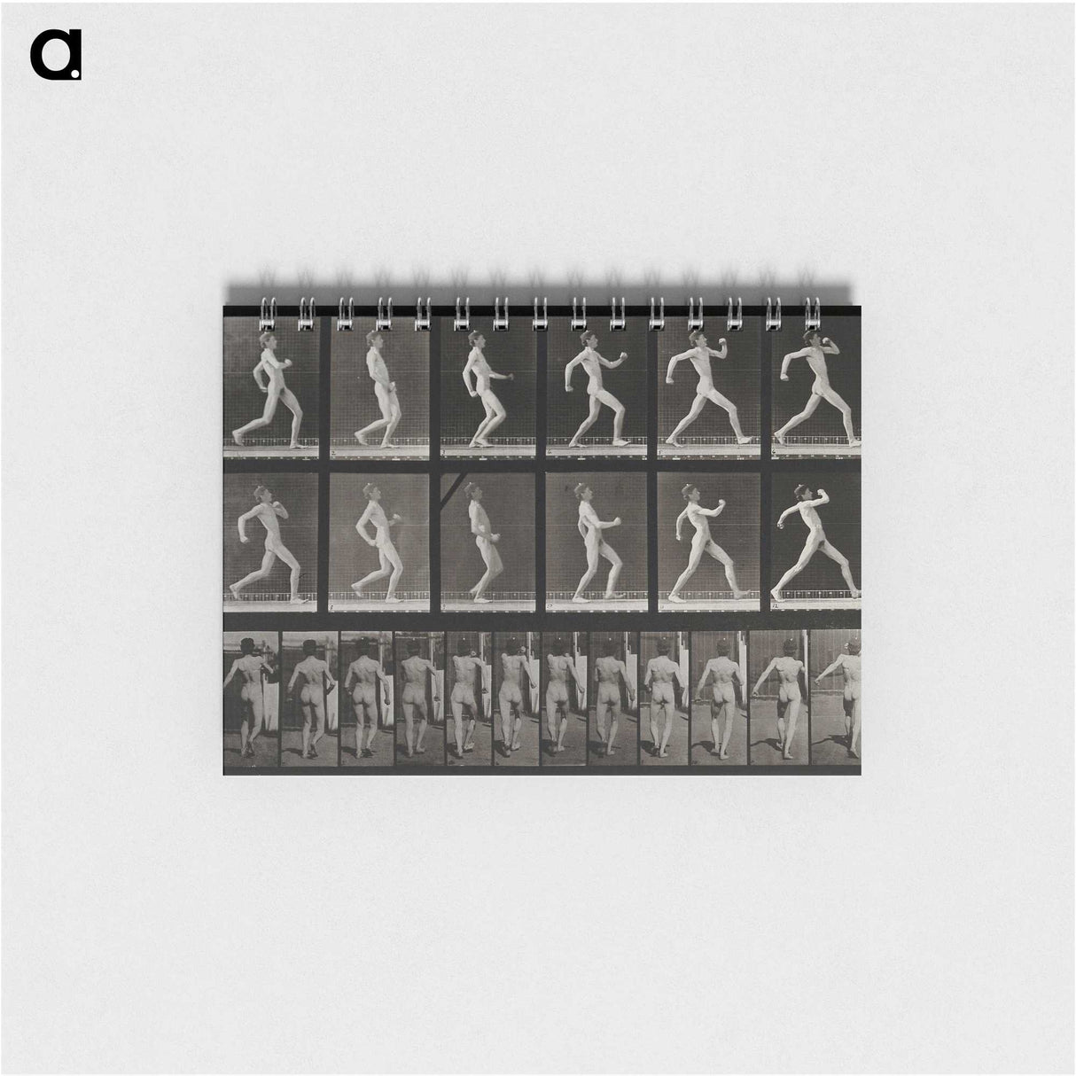 3-17_Eadweard-Muybridge_memo