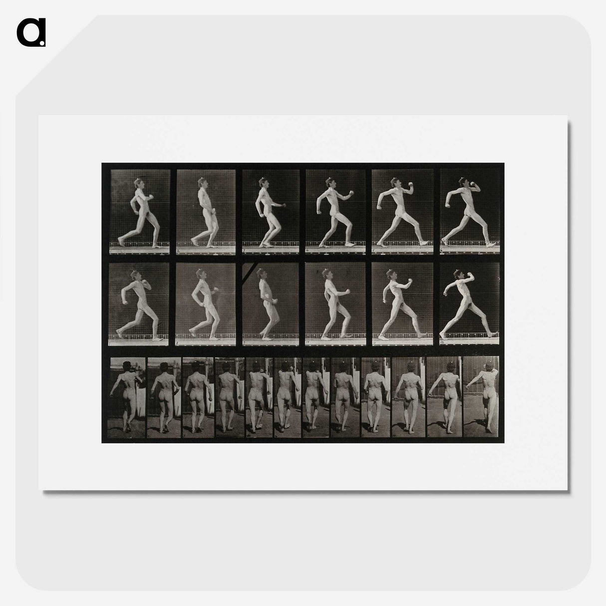 3-17_Eadweard-Muybridge_picture