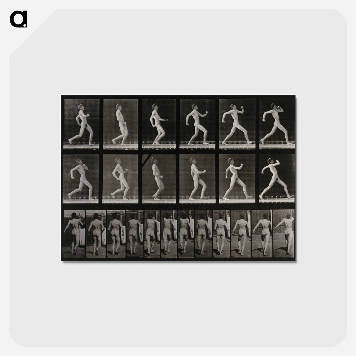 アートポストカード-Running Man
- エドワード マイブリッジ Postcard.