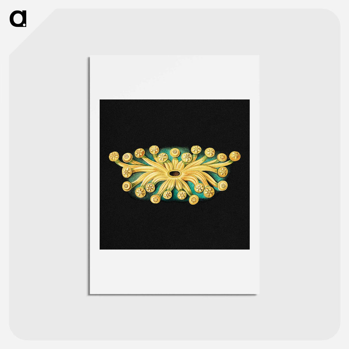 アートポストカード-Colorful vintage tunicate marine life illustration - エルンスト ヘッケル Postcard.