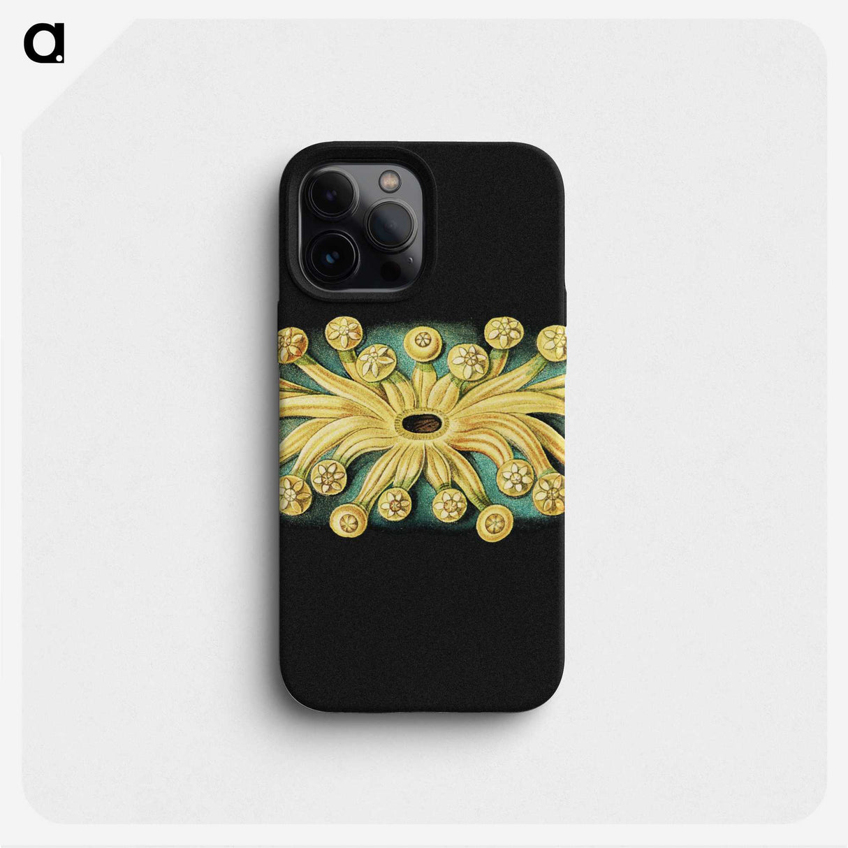 3-17_Ernst-Haeckel_phone